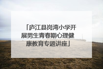 庐江县岗湾小学开展男生青春期心理健康教育专题讲座