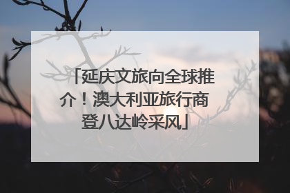 延庆文旅向全球推介！澳大利亚旅行商登八达岭采风