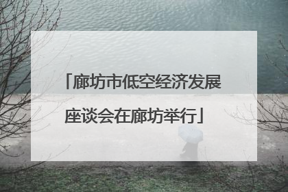 廊坊市低空经济发展座谈会在廊坊举行