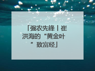 强农先锋丨崔洪海的“黄金叶”致富经