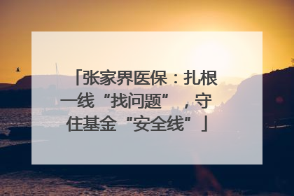 张家界医保：扎根一线“找问题”，守住基金“安全线”