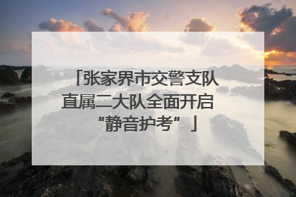 张家界市交警支队直属二大队全面开启“静音护考”