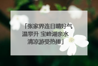 张家界连日晴好气温攀升 宝峰湖亲水清凉游受热捧