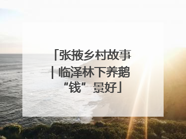 张掖乡村故事｜临泽林下养鹅“钱”景好
