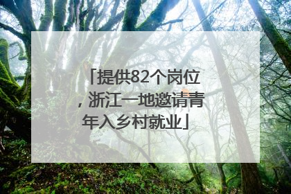 提供82个岗位，浙江一地邀请青年入乡村就业