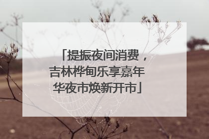 提振夜间消费，吉林桦甸乐享嘉年华夜市焕新开市