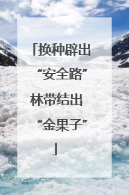 换种辟出“安全路” 林带结出“金果子”