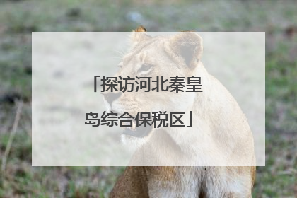探访河北秦皇岛综合保税区