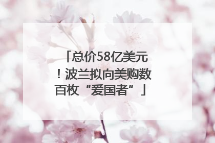 总价58亿美元！波兰拟向美购数百枚“爱国者”