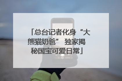 总台记者化身“大熊猫奶爸” 独家揭秘国宝可爱日常
