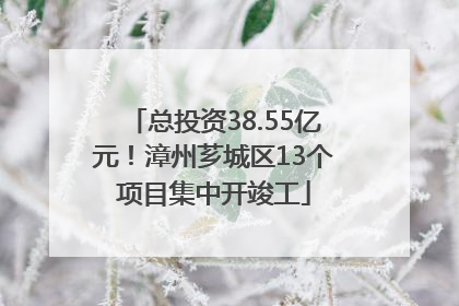 总投资38.55亿元！漳州芗城区13个项目集中开竣工