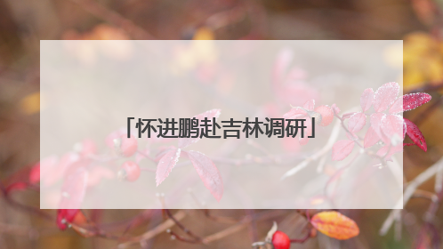 怀进鹏赴吉林调研