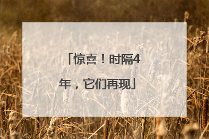 惊喜！时隔4年，它们再现