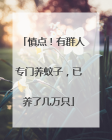 慎点！有群人专门养蚊子，已养了几万只