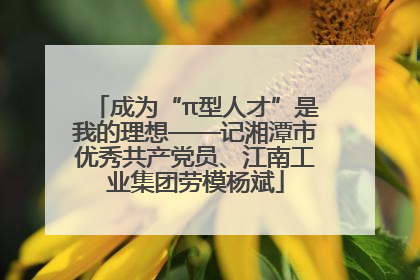 成为“π型人才”是我的理想——记湘潭市优秀共产党员、江南工业集团劳模杨斌