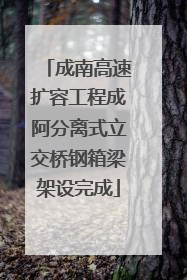 成南高速扩容工程成阿分离式立交桥钢箱梁架设完成