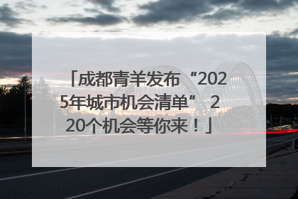 成都青羊发布“2025年城市机会清单” 220个机会等你来！