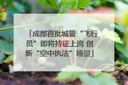 成都首批城管“飞行员”即将持证上岗 创新“空中执法”场景