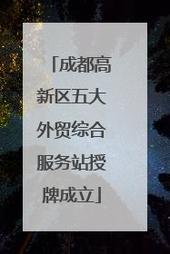 成都高新区五大外贸综合服务站授牌成立
