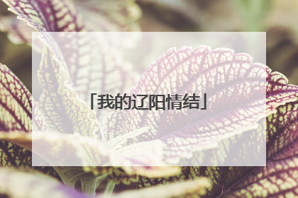 我的辽阳情结