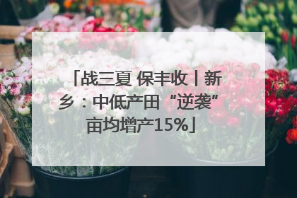 战三夏 保丰收丨新乡：中低产田“逆袭” 亩均增产15%