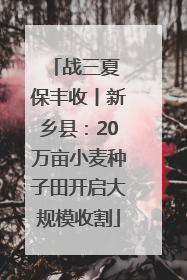 战三夏 保丰收丨新乡县：20万亩小麦种子田开启大规模收割