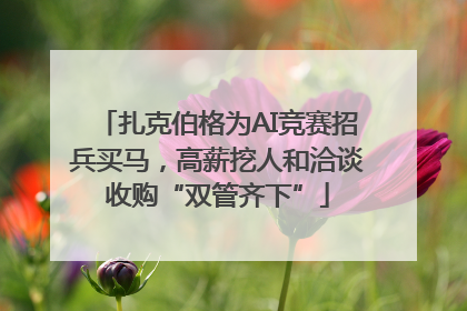 扎克伯格为AI竞赛招兵买马，高薪挖人和洽谈收购“双管齐下”
