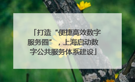 打造“便捷高效数字服务圈”，上海启动数字公共服务体系建设