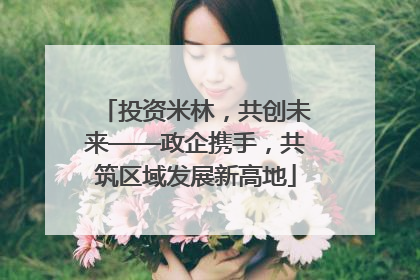 投资米林，共创未来——政企携手，共筑区域发展新高地