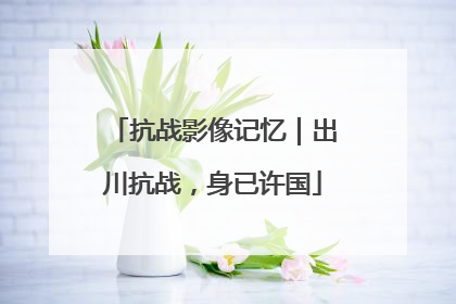 抗战影像记忆｜出川抗战，身已许国