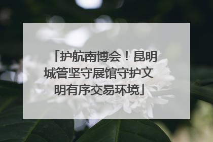 护航南博会！昆明城管坚守展馆守护文明有序交易环境