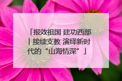 报效祖国 建功西部丨接续支教 演绎新时代的“山海情深”