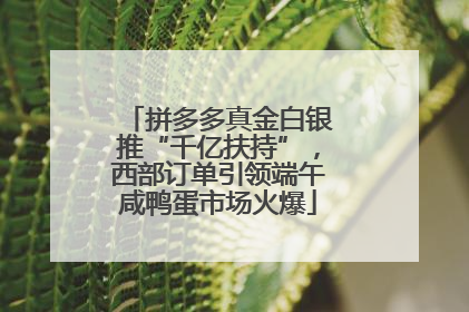拼多多真金白银推“千亿扶持”，西部订单引领端午咸鸭蛋市场火爆