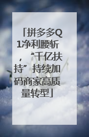 拼多多Q1净利腰斩，“千亿扶持”持续加码商家高质量转型