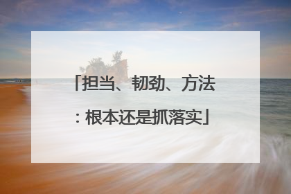 担当、韧劲、方法：根本还是抓落实