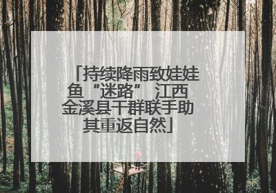 持续降雨致娃娃鱼“迷路” 江西金溪县干群联手助其重返自然