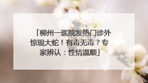 柳州一医院发热门诊外惊现大蛇！有毒无毒？专家辨认：性情温顺