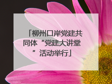 柳州口岸党建共同体“党建大讲堂”活动举行