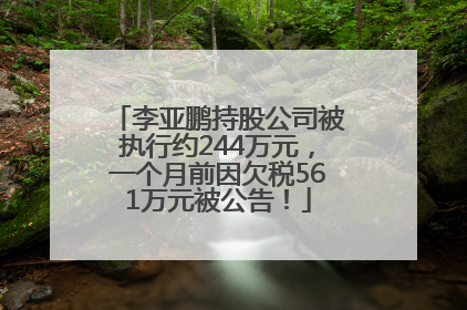 李亚鹏持股公司被执行约244万元，一个月前因欠税561万元被公告！