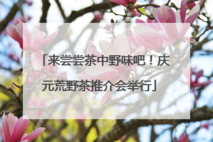 来尝尝茶中野味吧！庆元荒野茶推介会举行