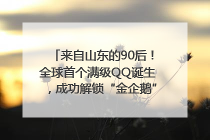 来自山东的90后！全球首个满级QQ诞生，成功解锁“金企鹅”，是继承父亲账号