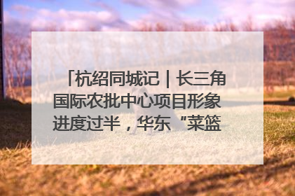 杭绍同城记｜长三角国际农批中心项目形象进度过半，华东“菜篮子”建设加码提速！
