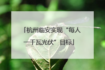 杭州临安实现“每人一千瓦光伏”目标