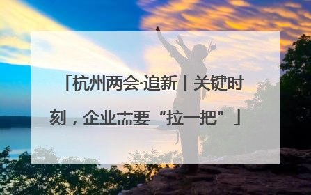 杭州两会·追新丨关键时刻，企业需要“拉一把”