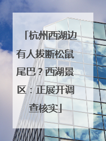 杭州西湖边有人拔断松鼠尾巴？西湖景区：正展开调查核实