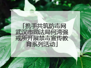 携手共筑防毒网 武汉市司法局何湾强戒所开展禁毒宣传教育系列活动