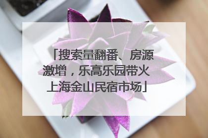 搜索量翻番、房源激增，乐高乐园带火上海金山民宿市场