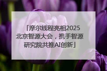 摩尔线程亮相2025北京智源大会，携手智源研究院共推AI创新