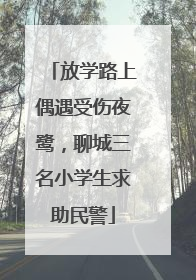 放学路上偶遇受伤夜鹭，聊城三名小学生求助民警