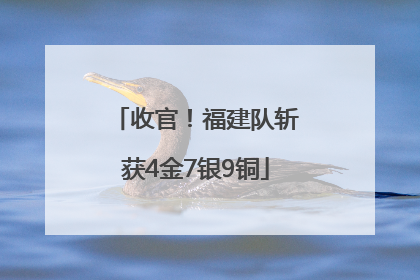 收官！福建队斩获4金7银9铜